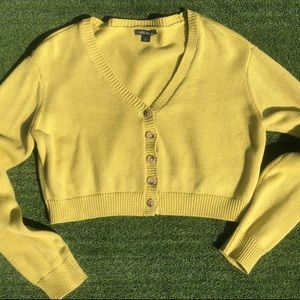 Wild fable cropped sweater